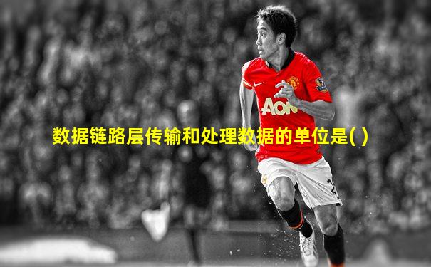 数据链路层传输和处理数据的单位是( )